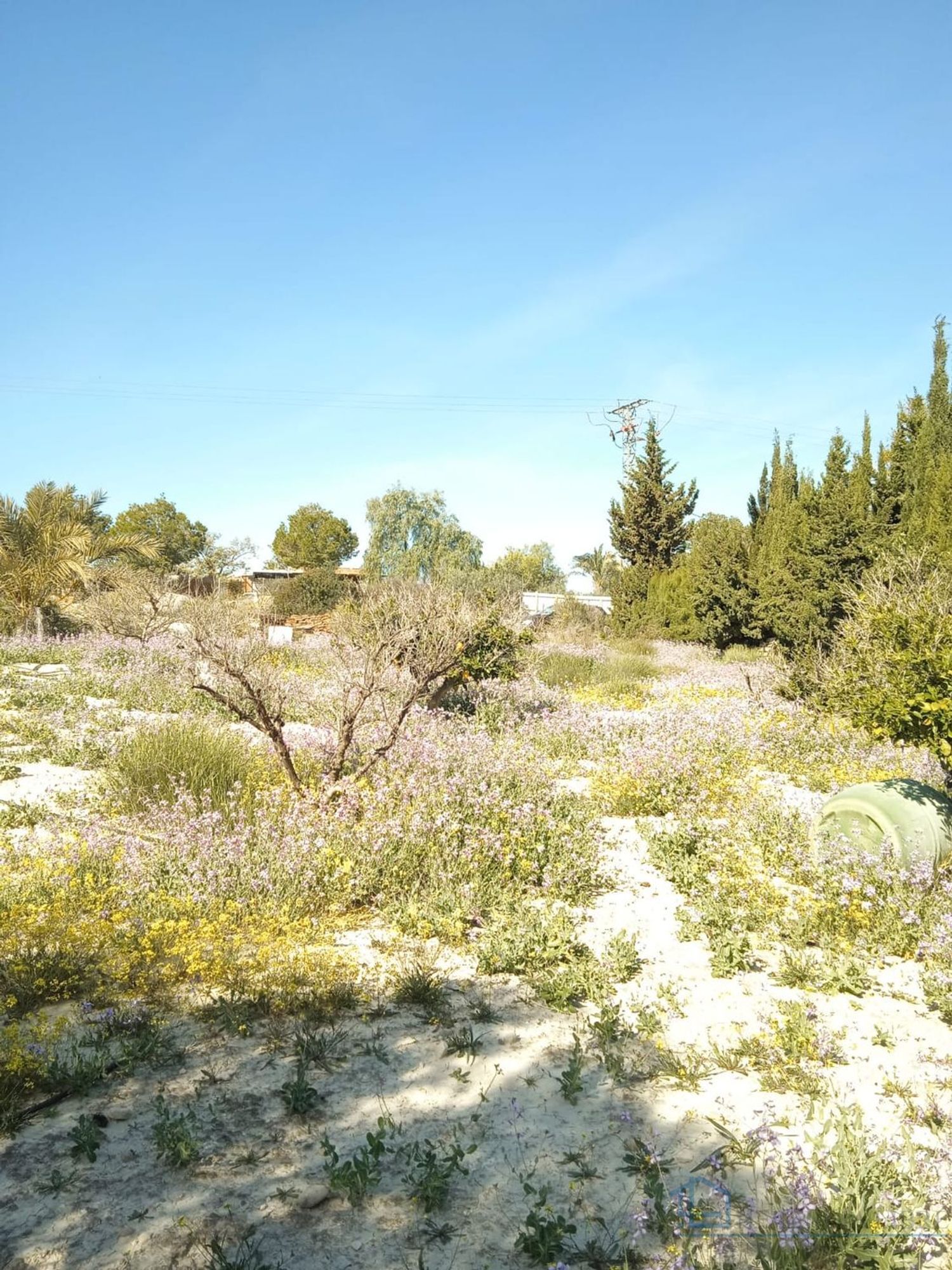 Venta de terreno en Molina de segura