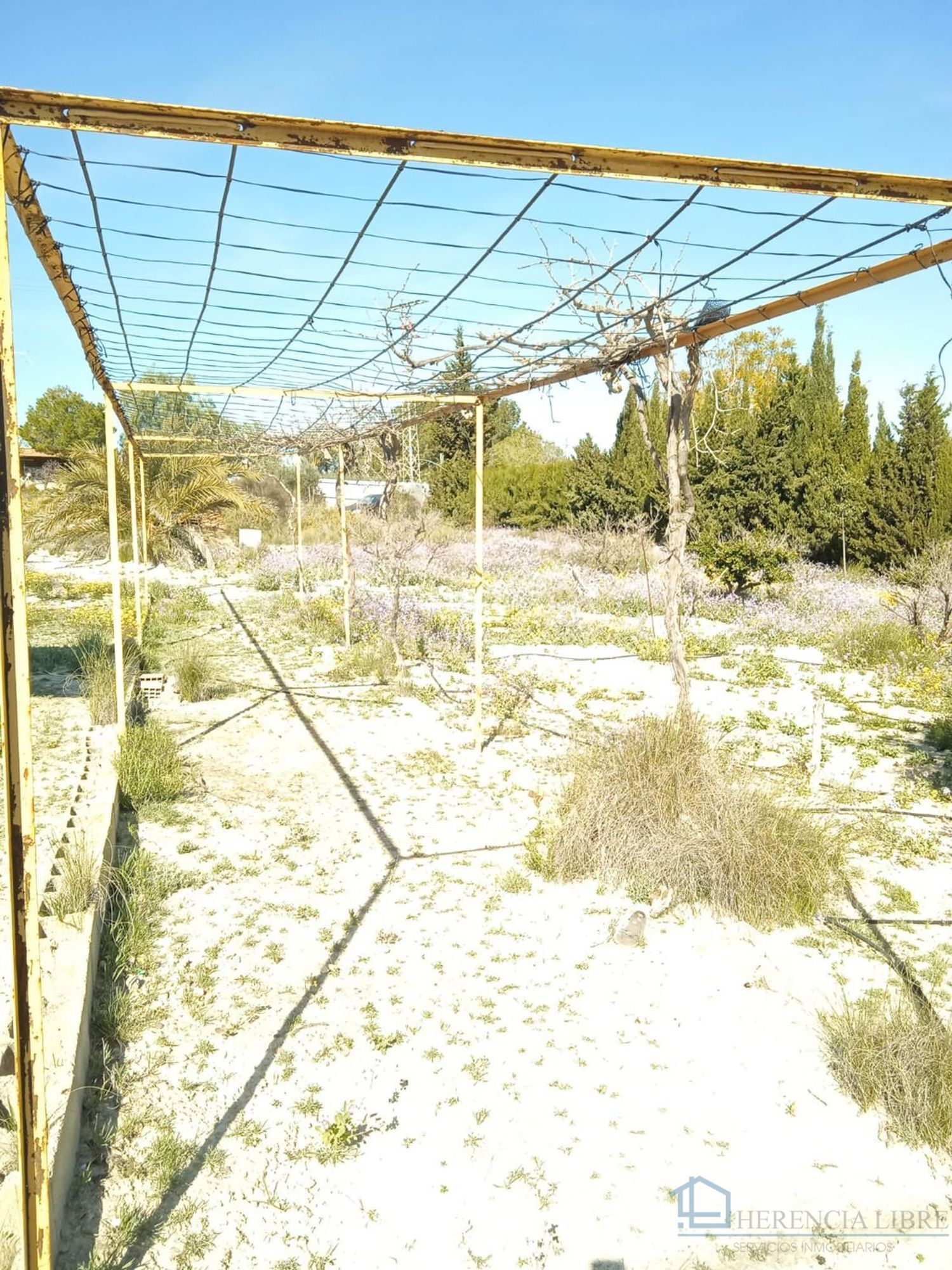 Venta de terreno en Molina de segura
