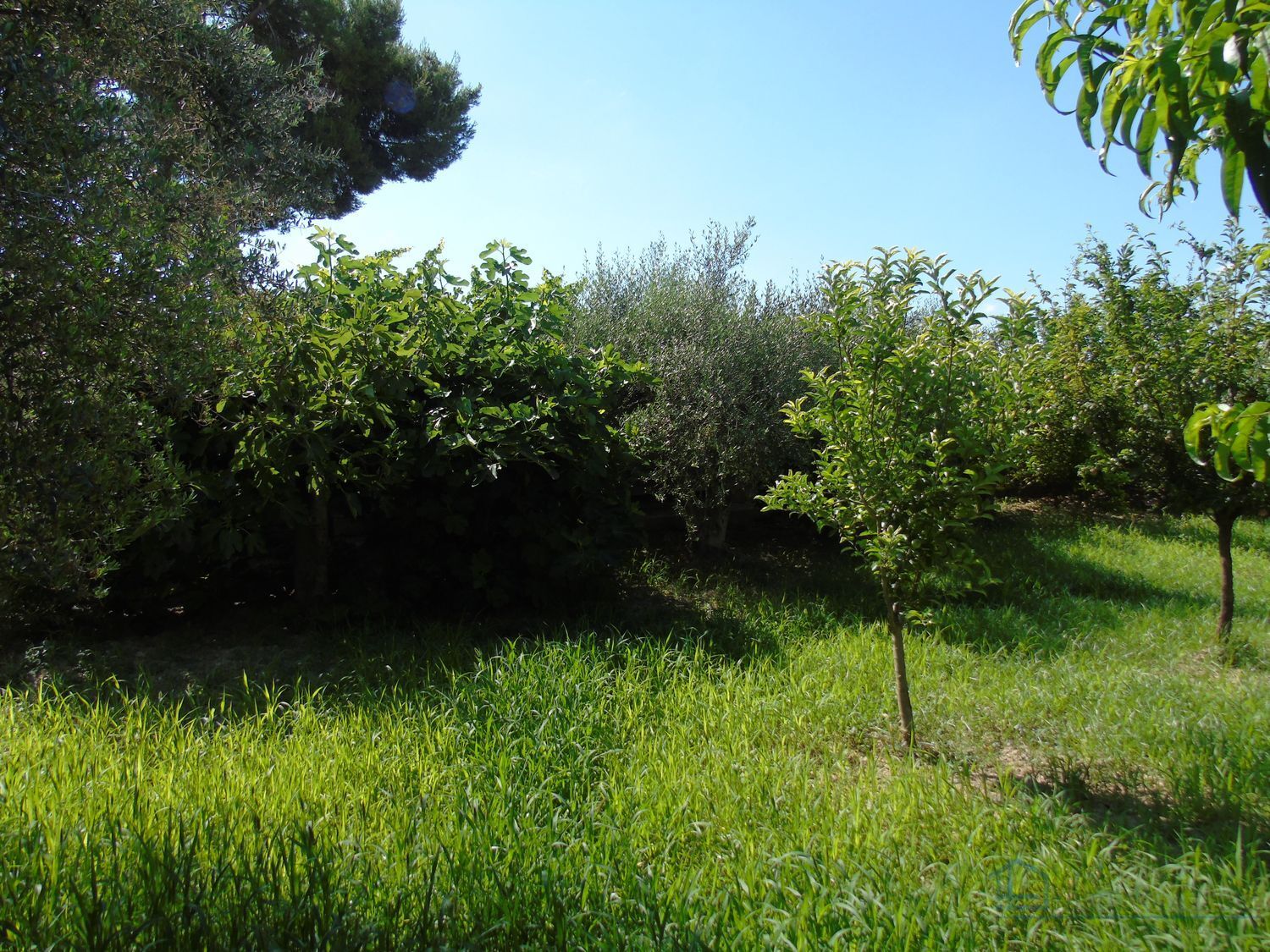 Venta de terreno en Ceuti
