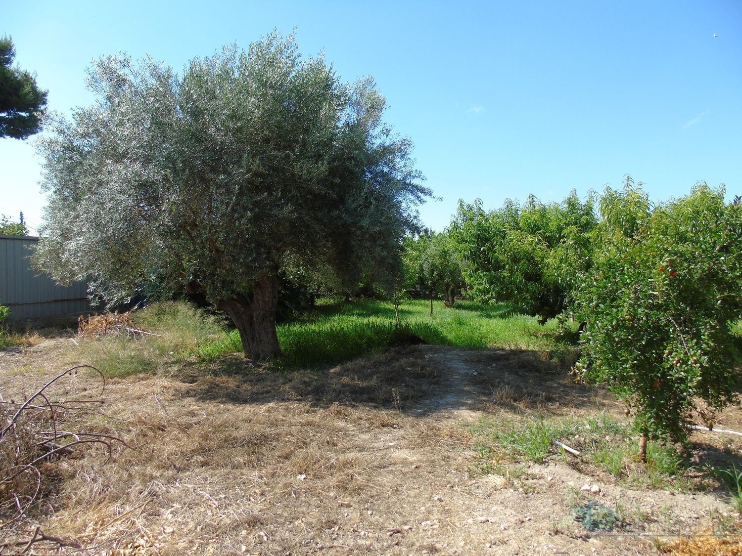 Venta de terreno en Ceuti