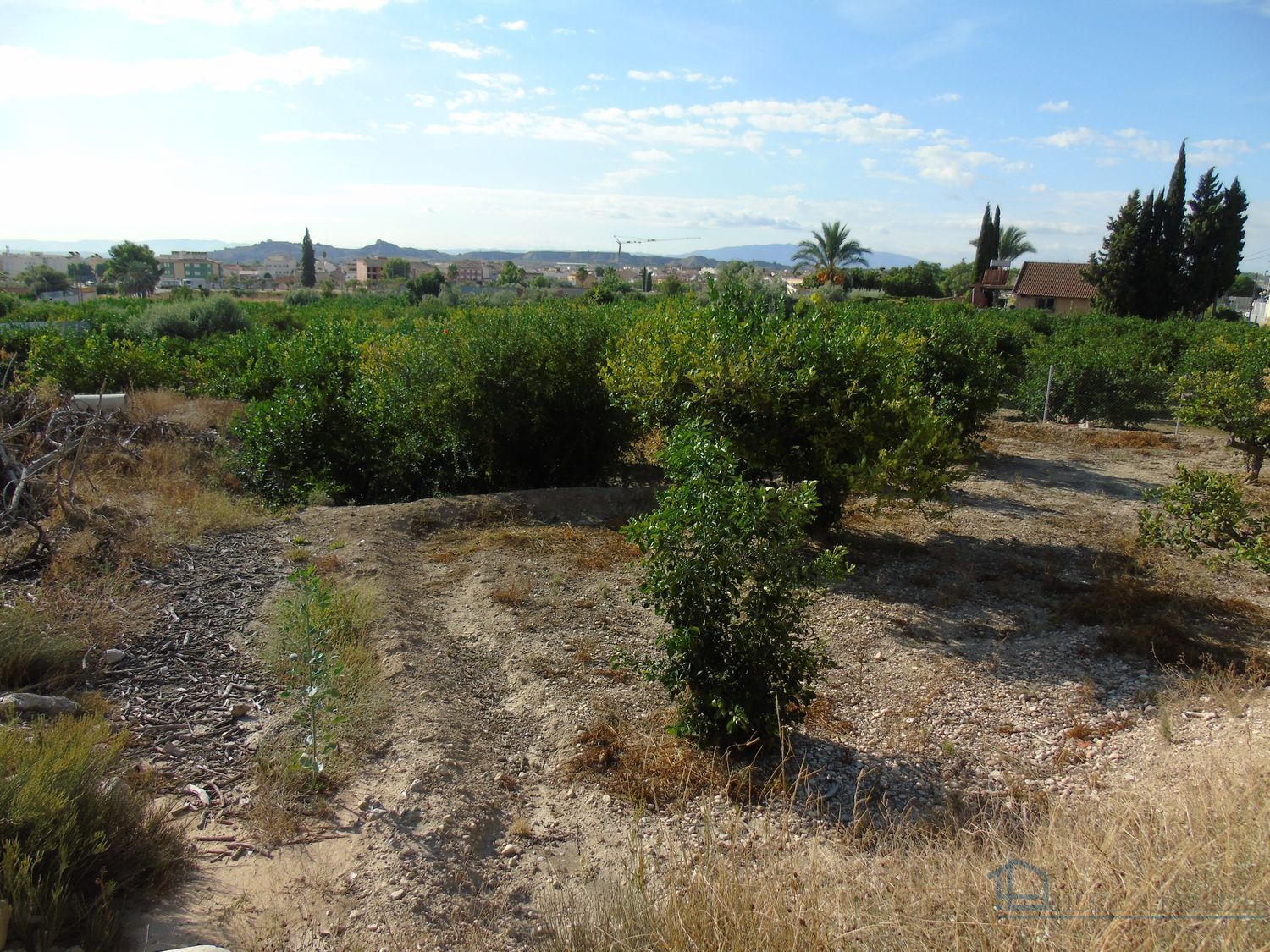 Venta de terreno en Ceuti