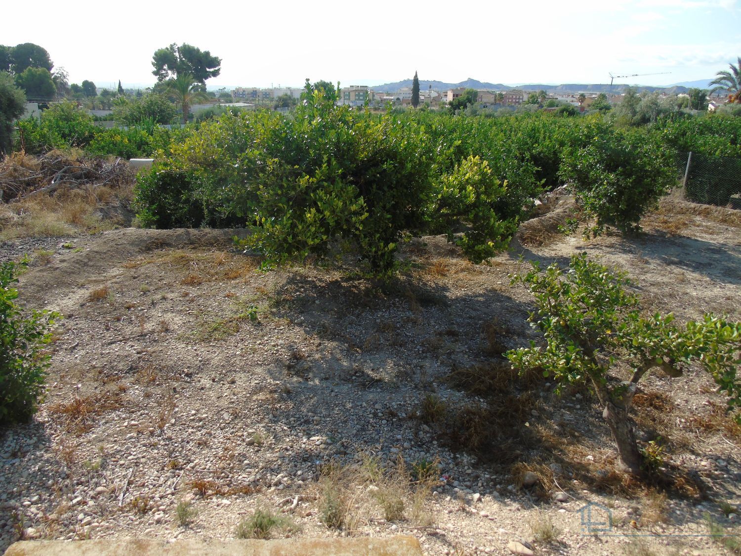 Venta de terreno en Ceuti