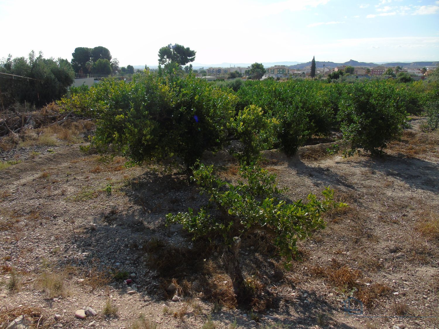 Venta de terreno en Ceuti