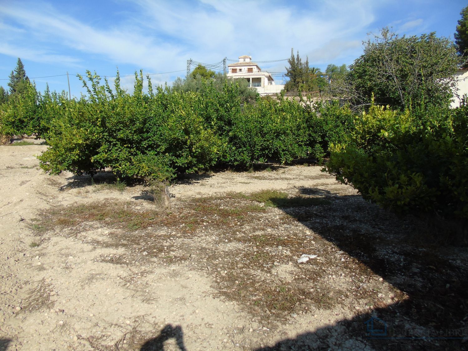 Venta de terreno en Ceuti