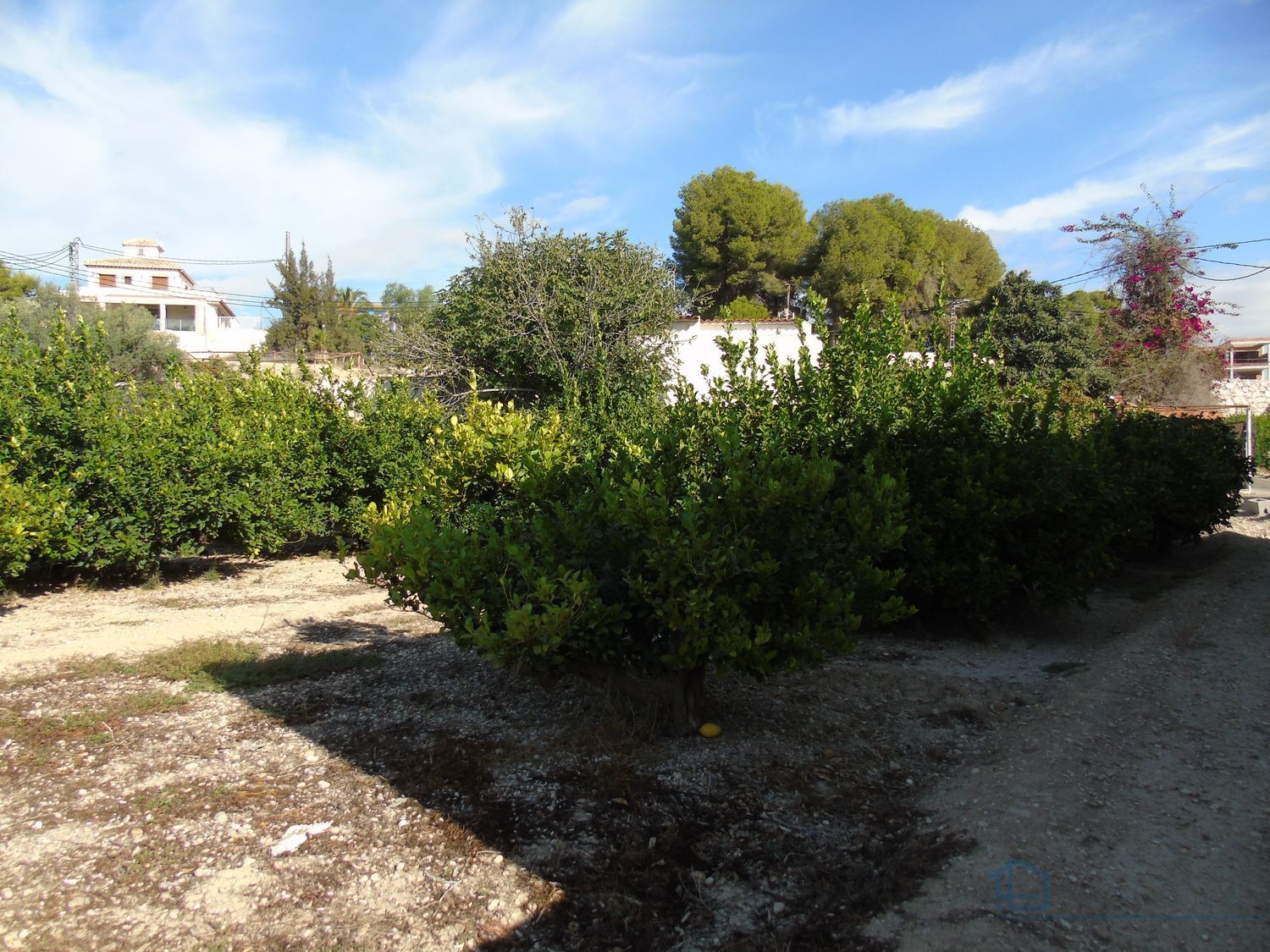 Venta de terreno en Ceuti