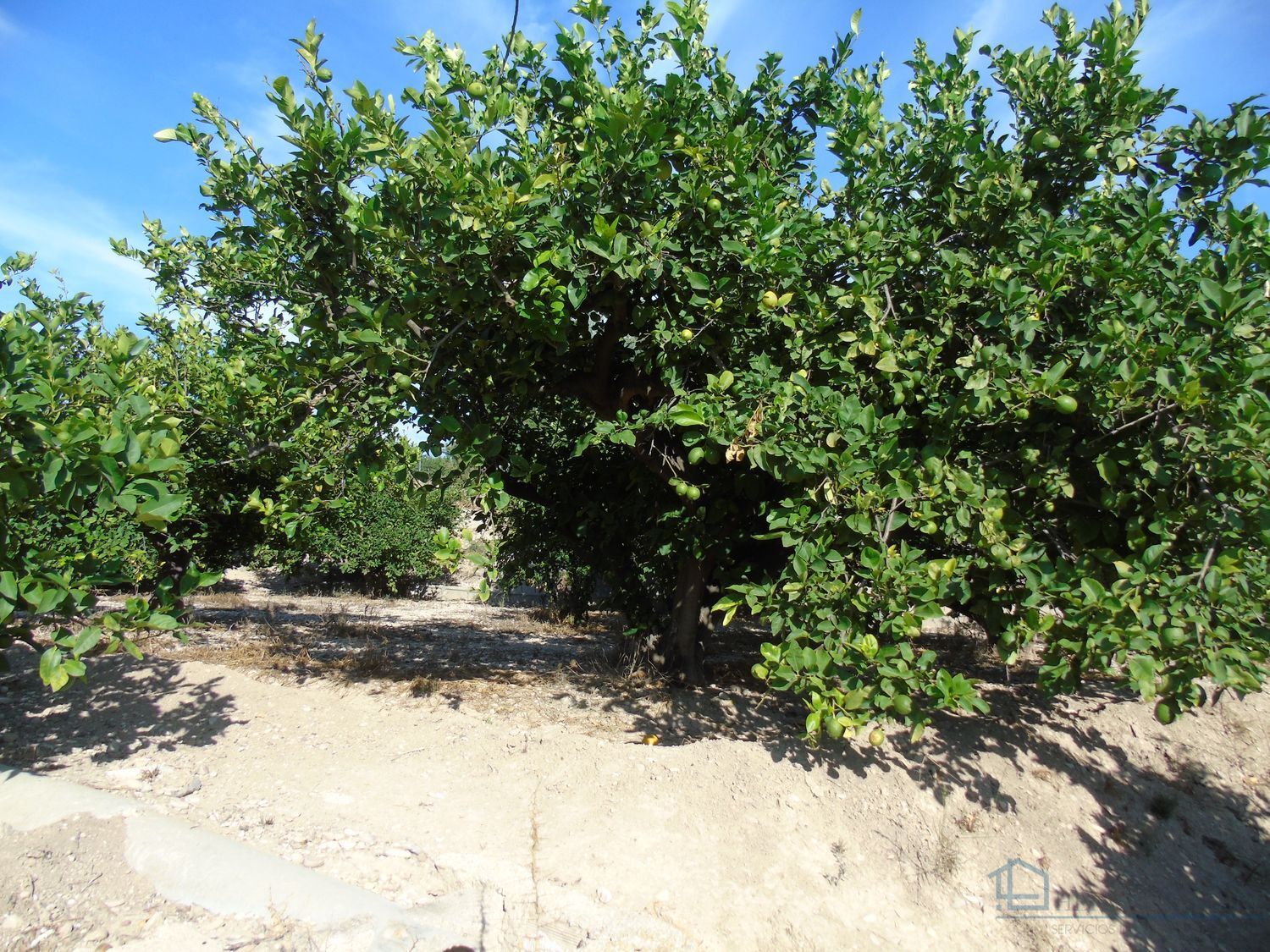 Venta de terreno en Ceuti