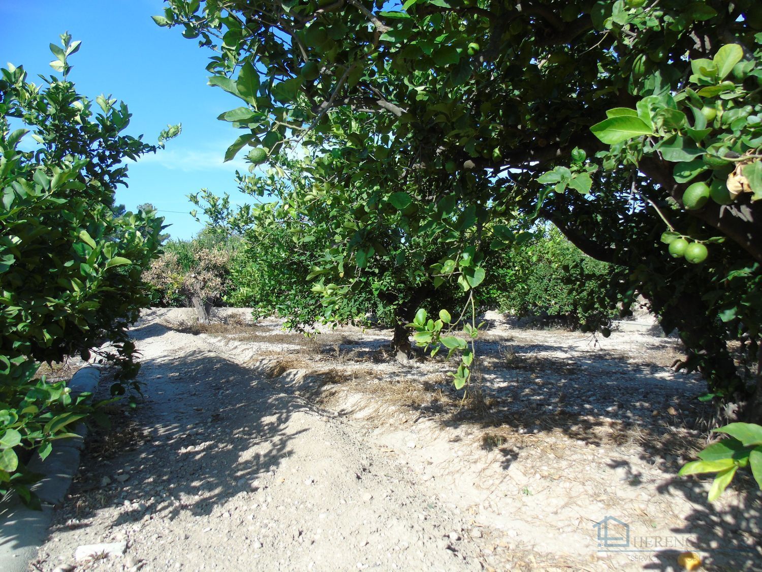 Venta de terreno en Ceuti