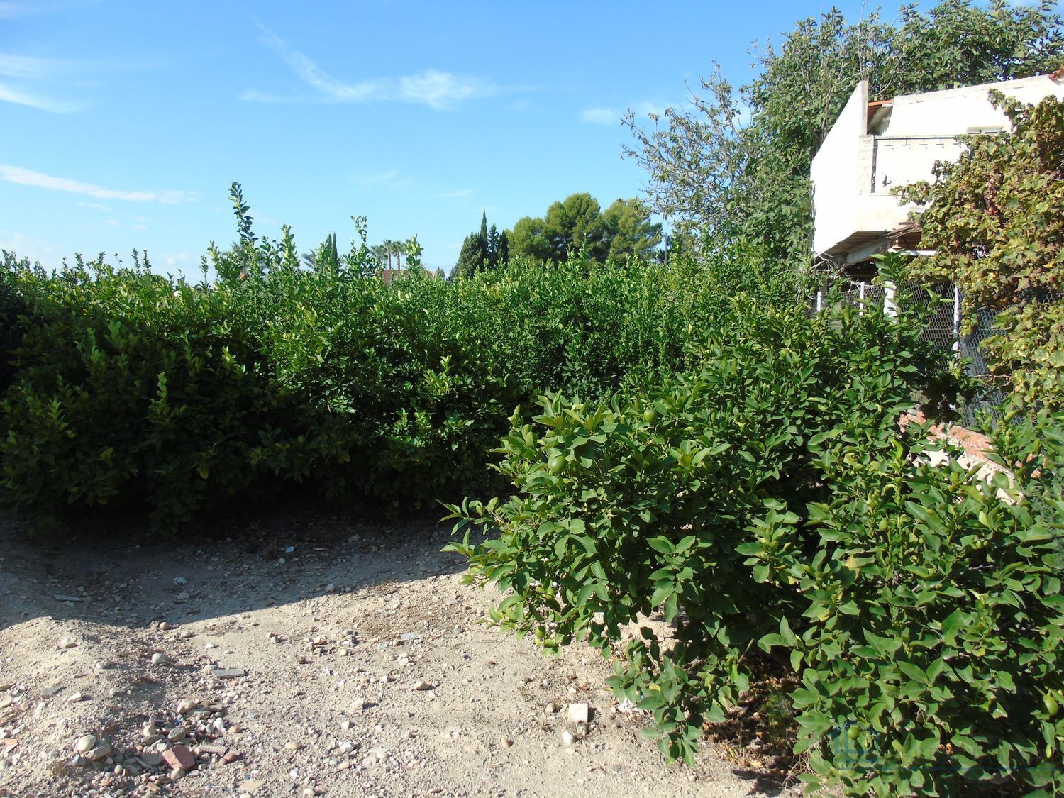 Venta de terreno en Ceuti
