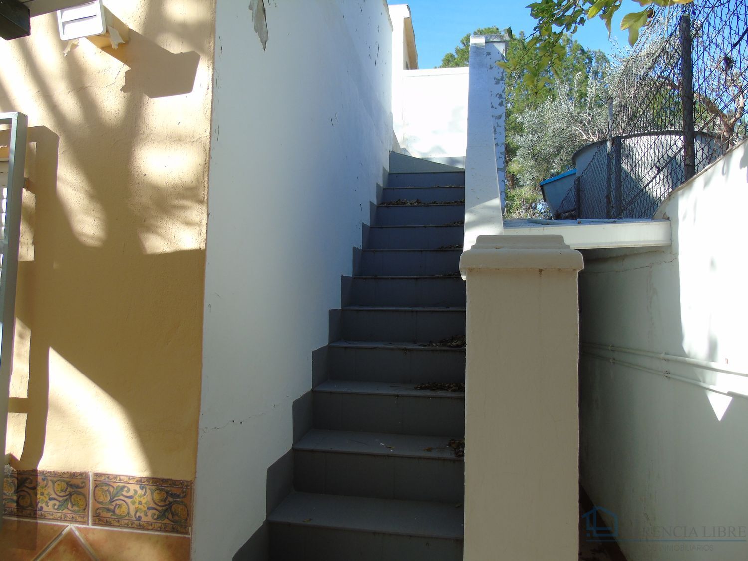 Venta de finca rústica en Molina de segura