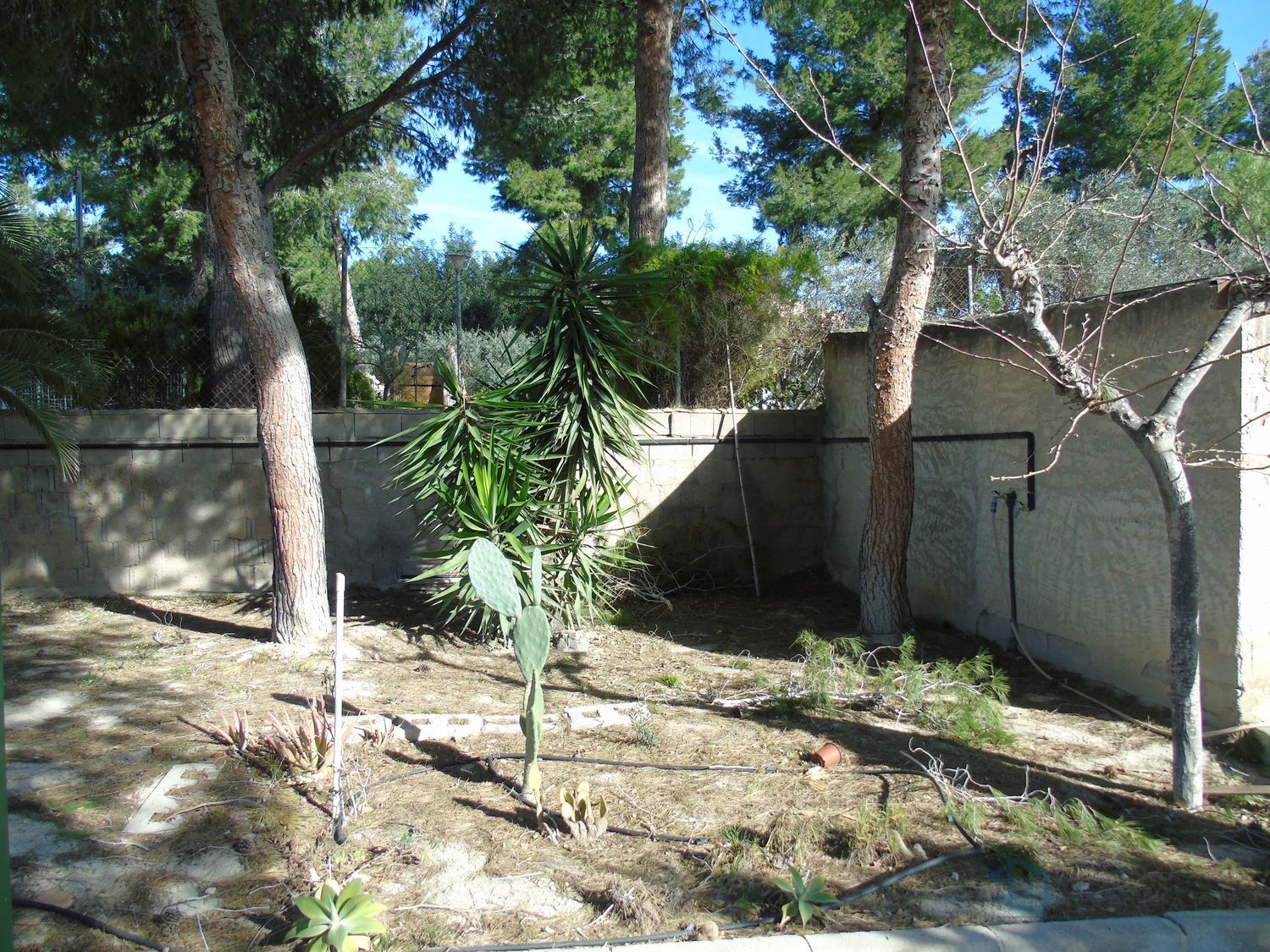 Venta de finca rústica en Molina de segura
