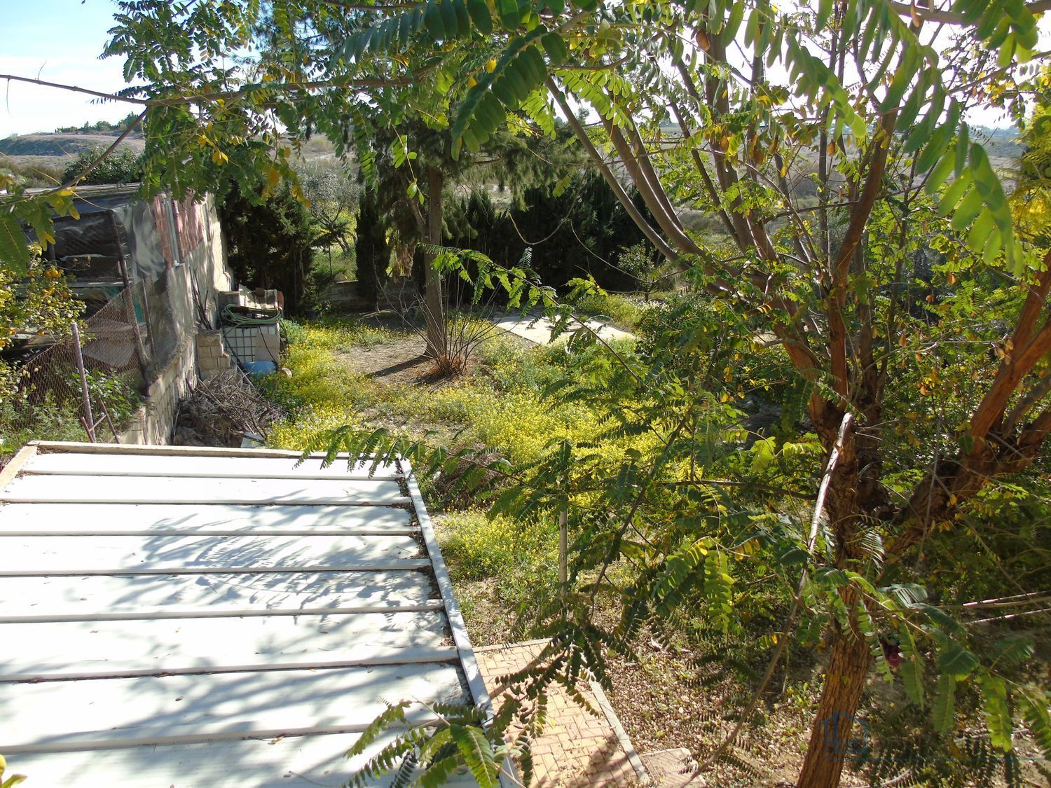 Venta de finca rústica en Molina de segura