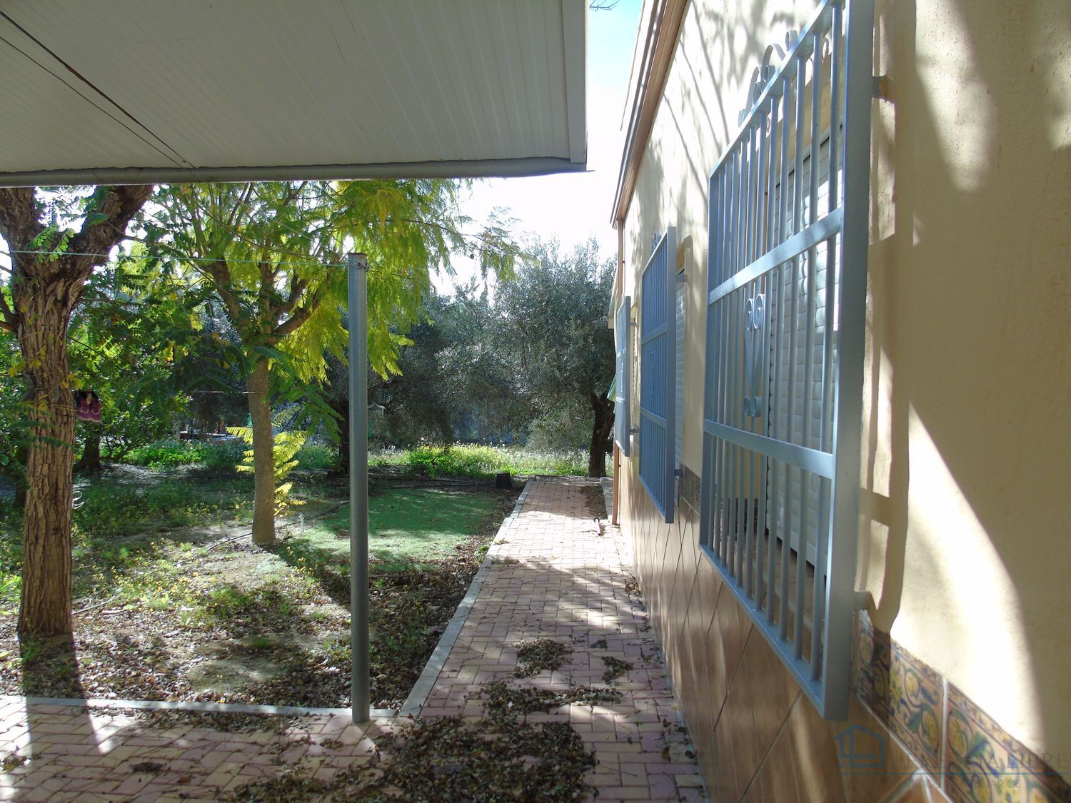 Venta de finca rústica en Molina de segura