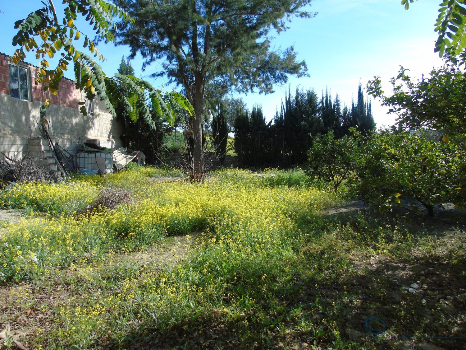 Venta de finca rústica en Molina de segura