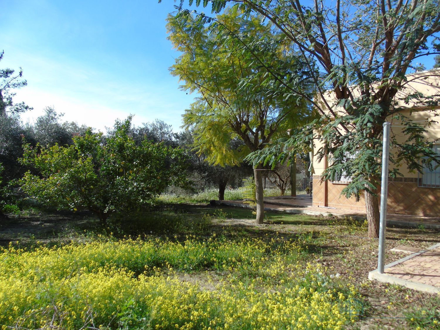Venta de finca rústica en Molina de segura