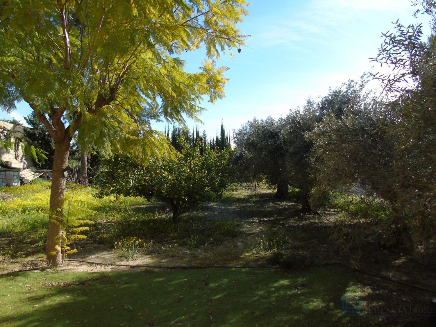 Venta de finca rústica en Molina de segura