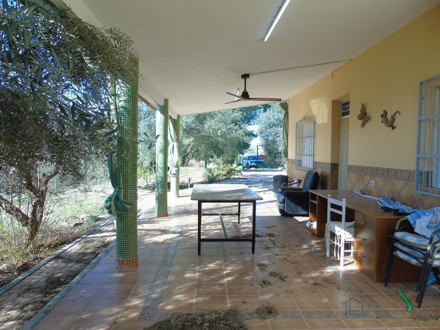 Venta de finca rústica en Molina de segura