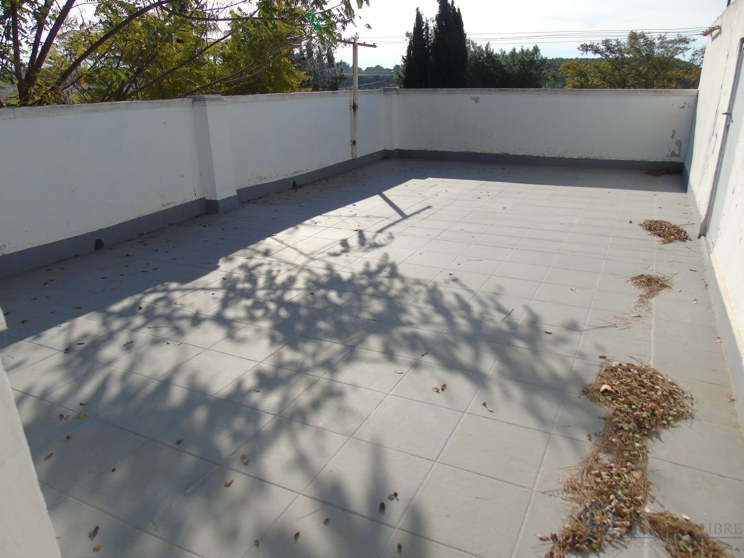 Venta de finca rústica en Molina de segura