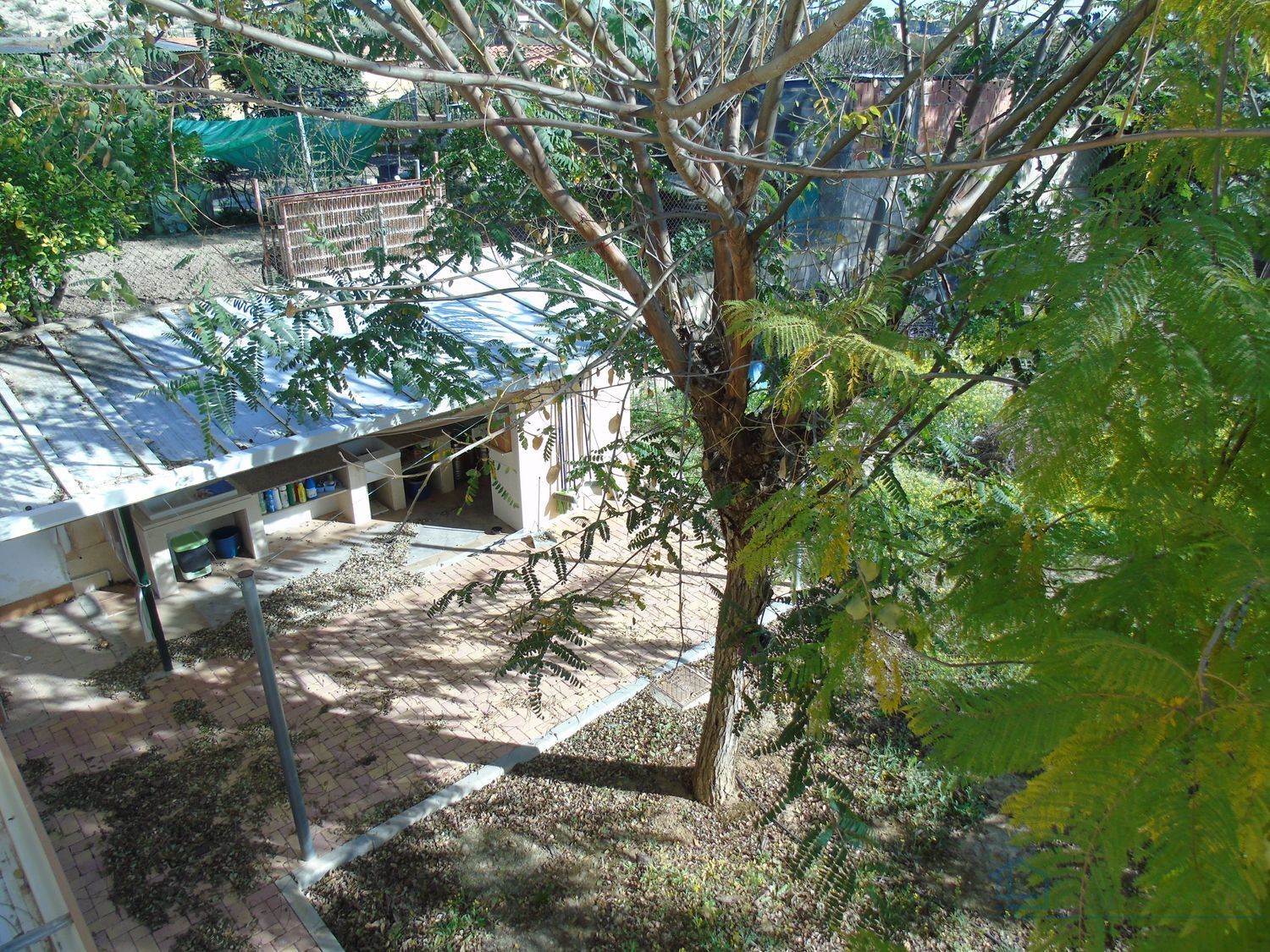 Venta de finca rústica en Molina de segura