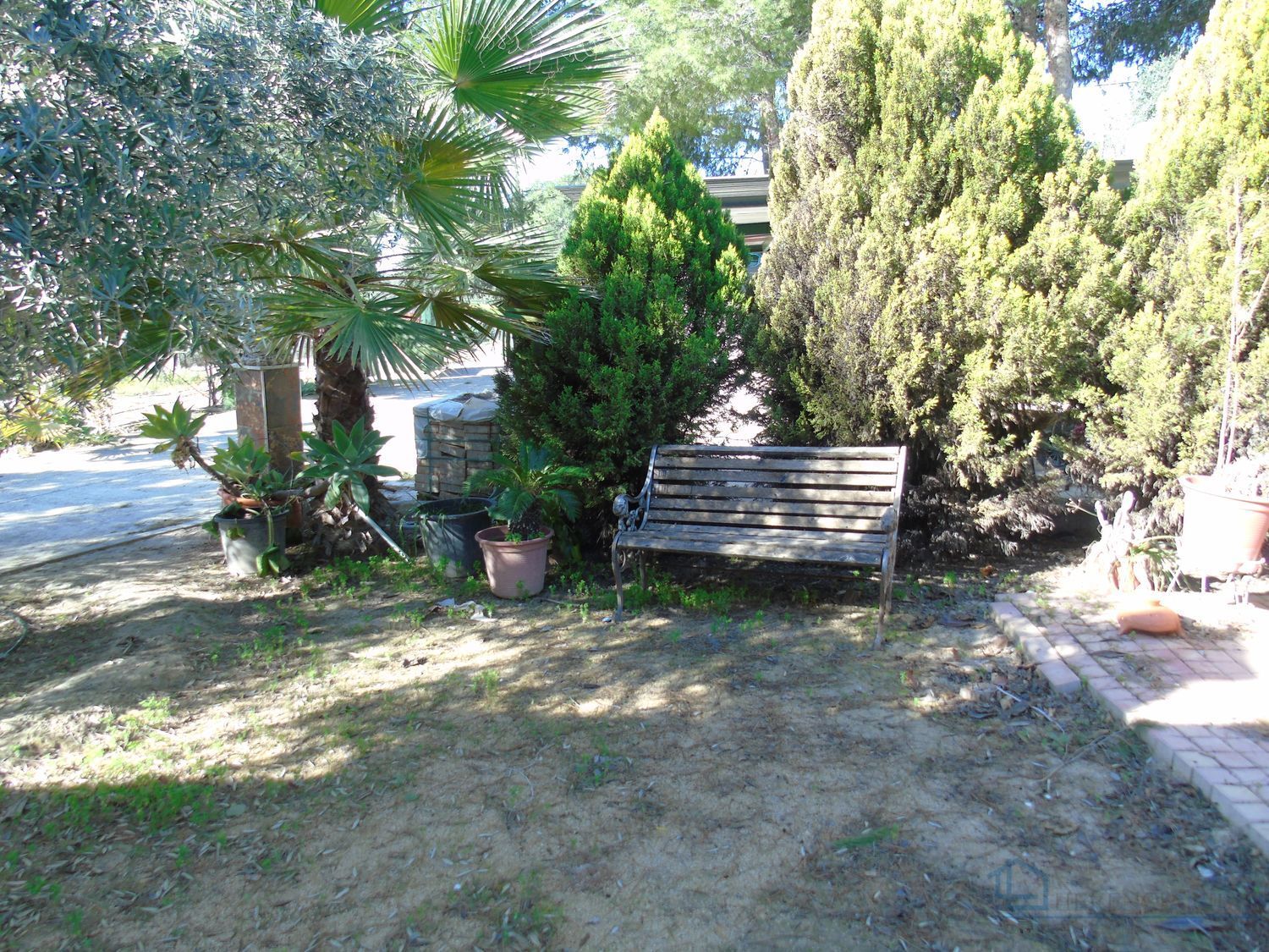 Venta de finca rústica en Molina de segura