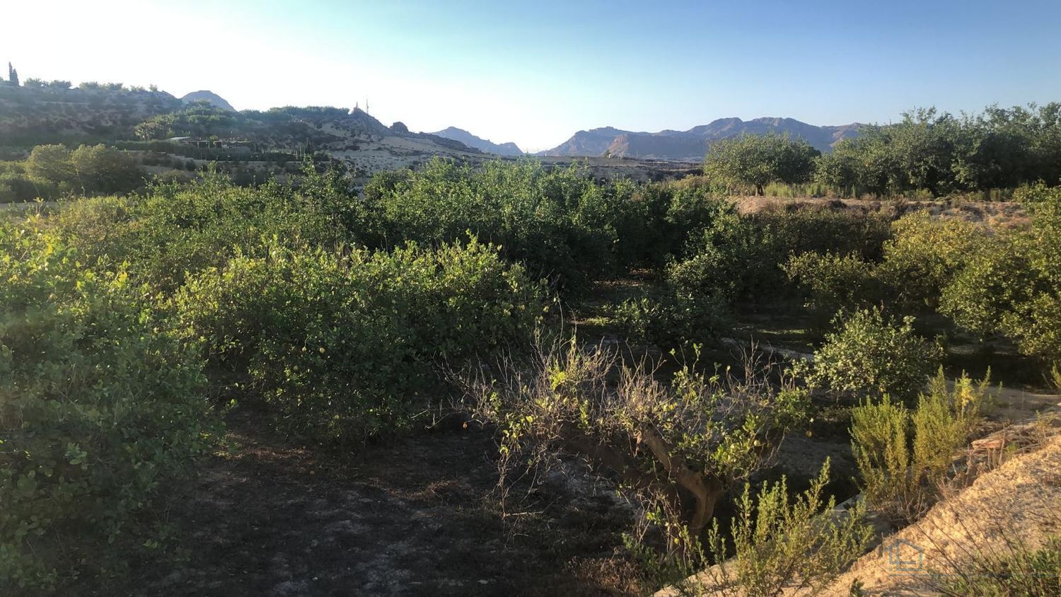 Venta de terreno en Villanueva del rio segura