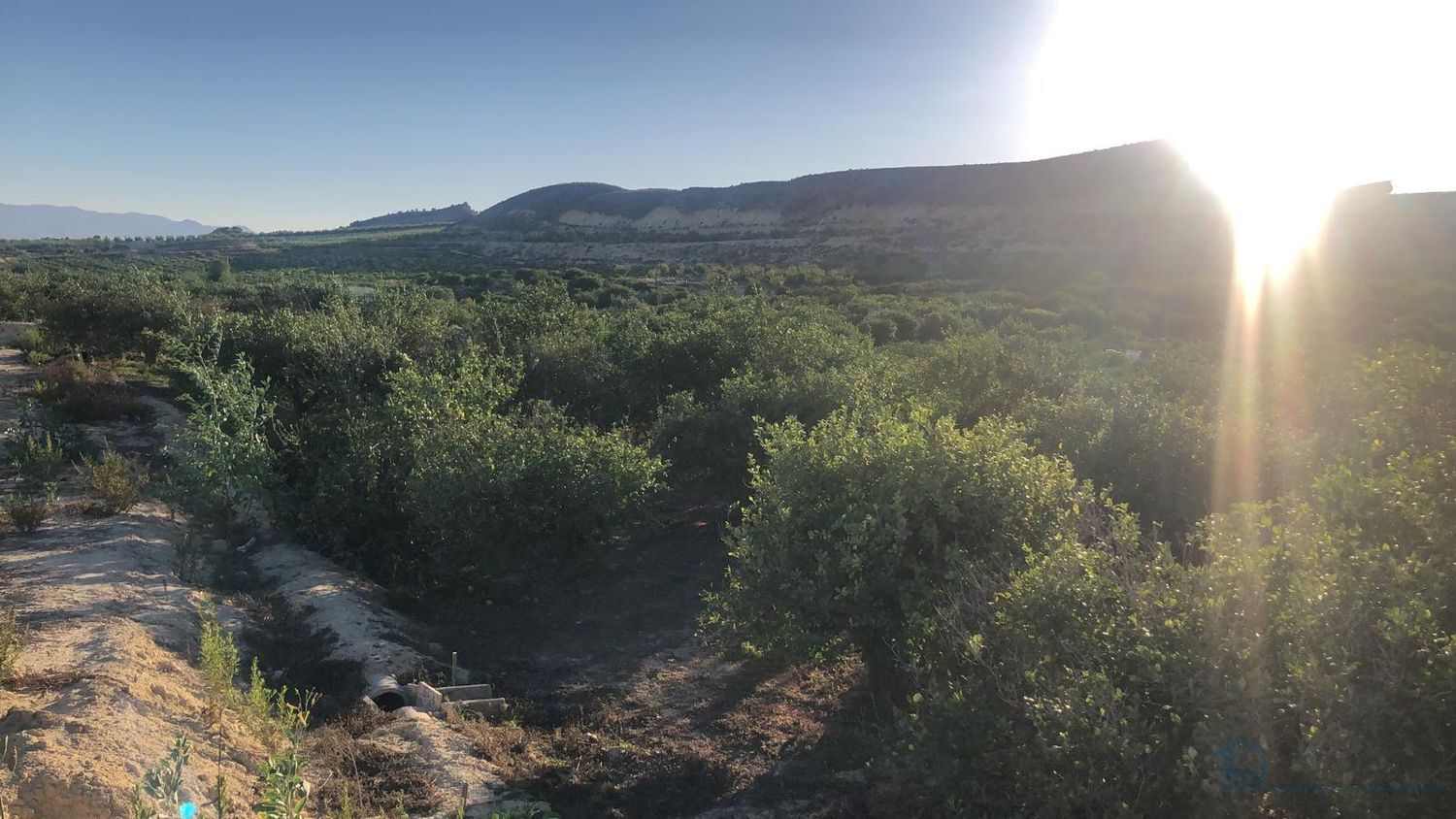 Venta de terreno en Villanueva del rio segura