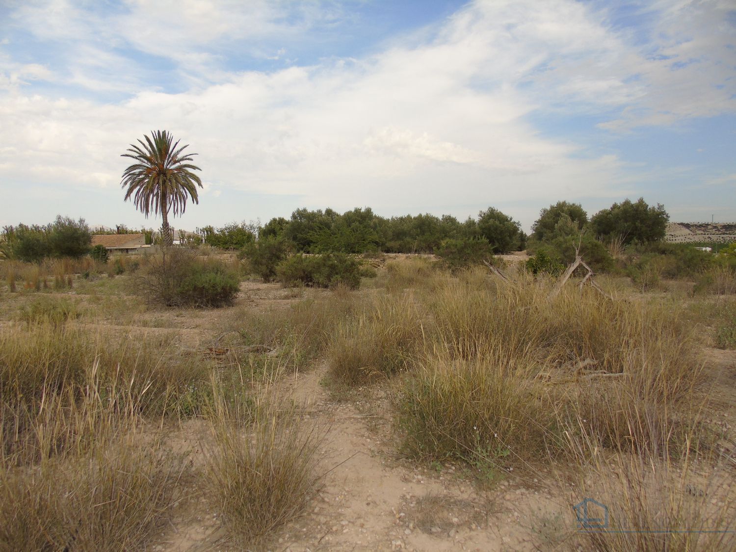 Venta de terreno en Ulea