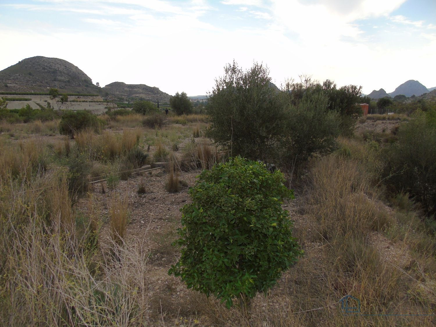 Venta de terreno en Ulea