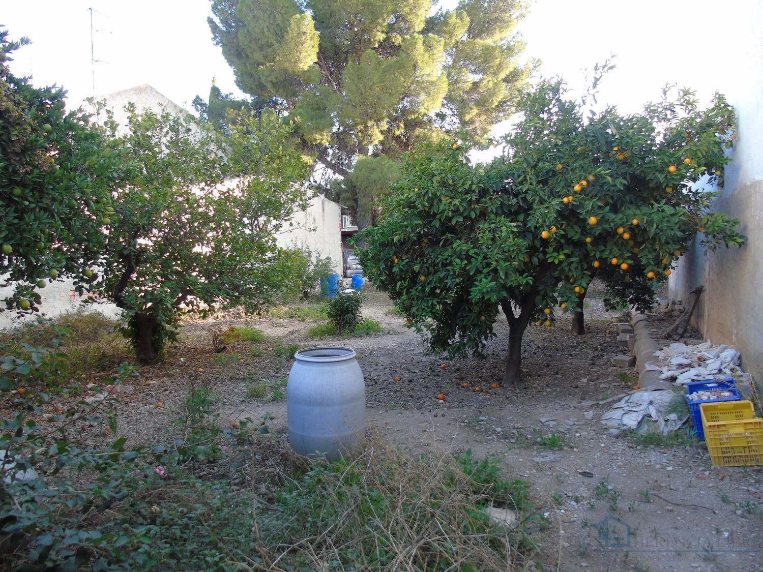 Venta de terreno en Alguazas