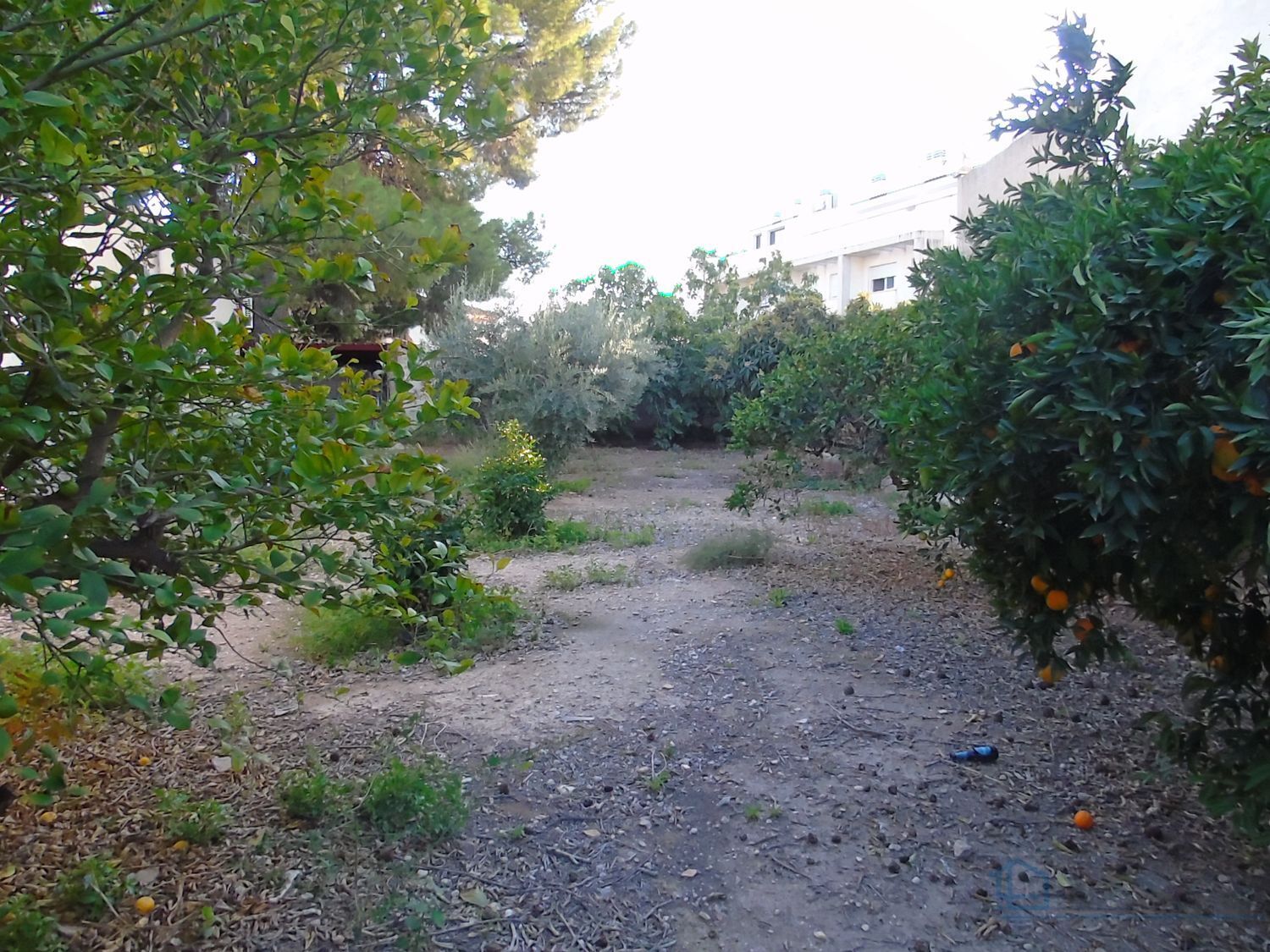 Venta de terreno en Alguazas