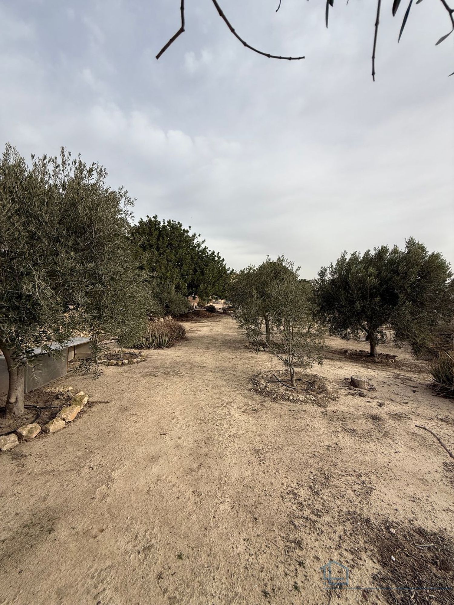 Venta de chalet en Murcia