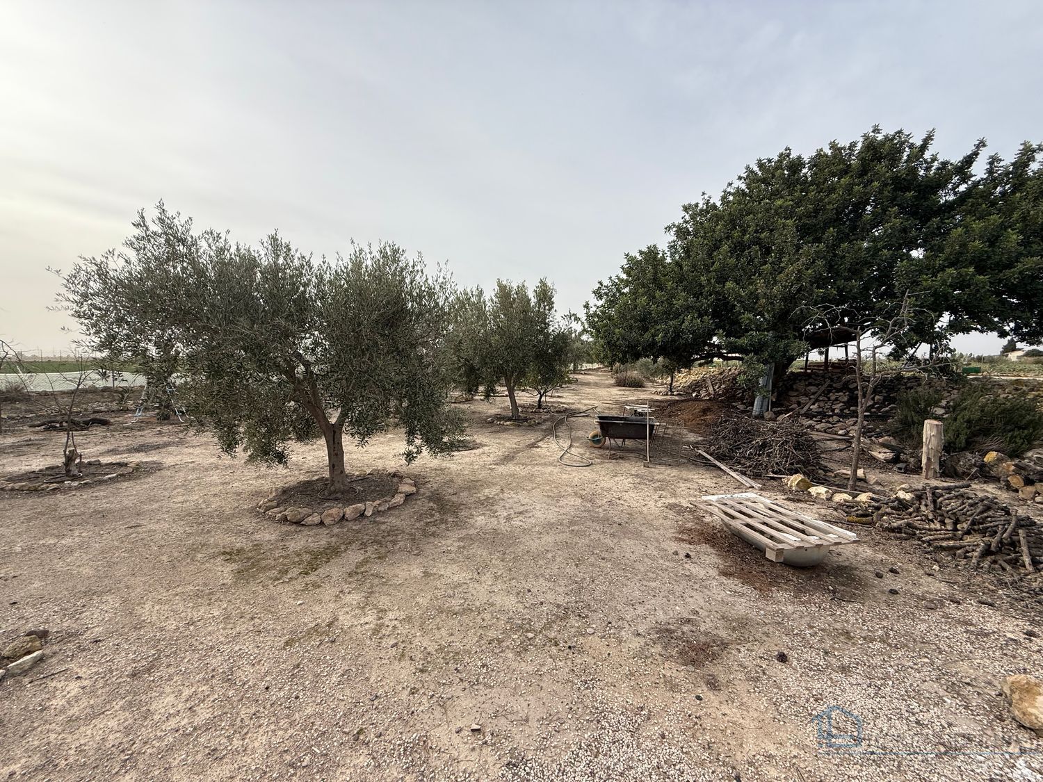 Venta de chalet en Murcia