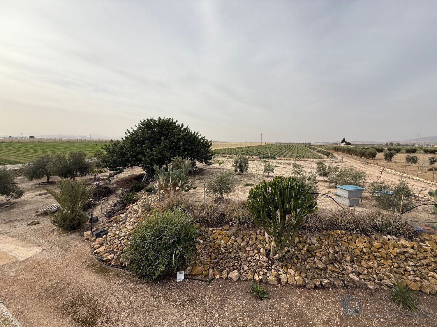 Venta de chalet en Murcia