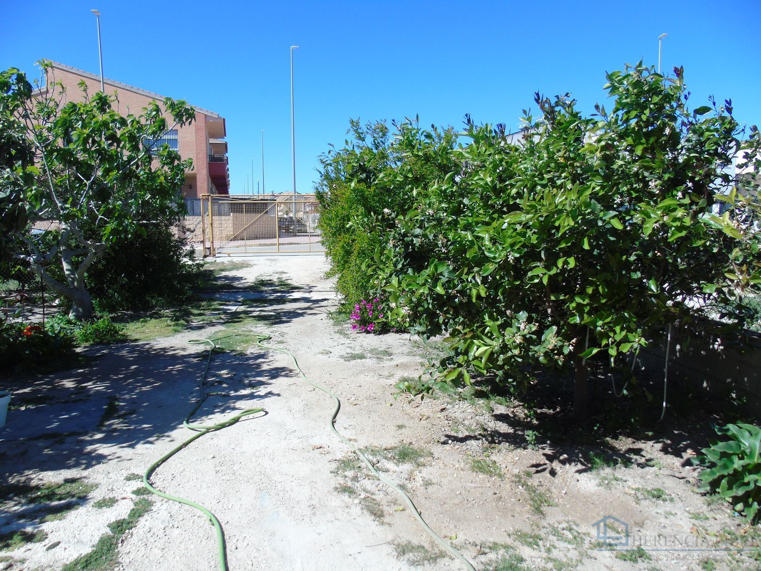 Venta de local en Ceuti