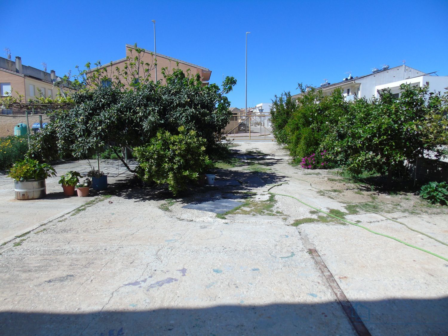 Venta de local en Ceuti