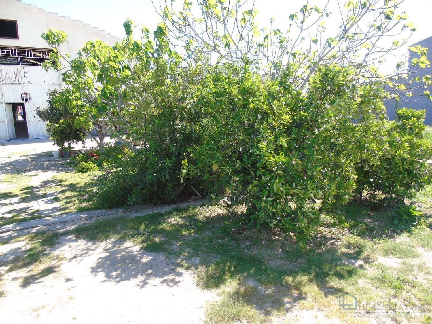 Venta de local en Ceuti