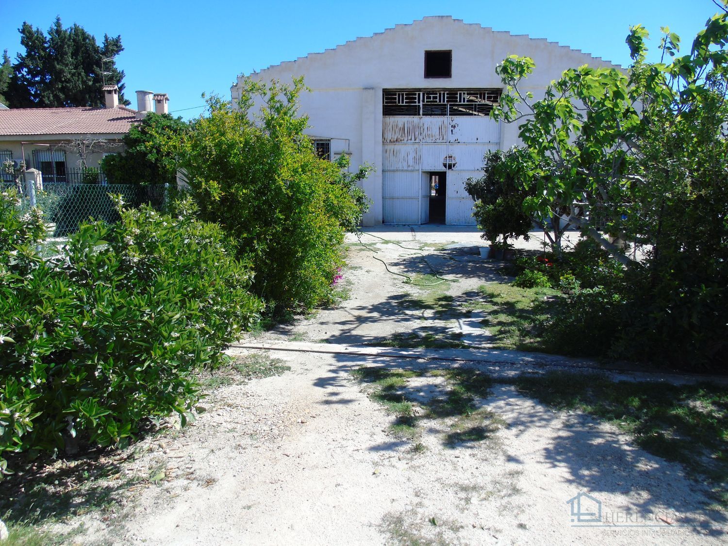 Venta de local en Ceuti