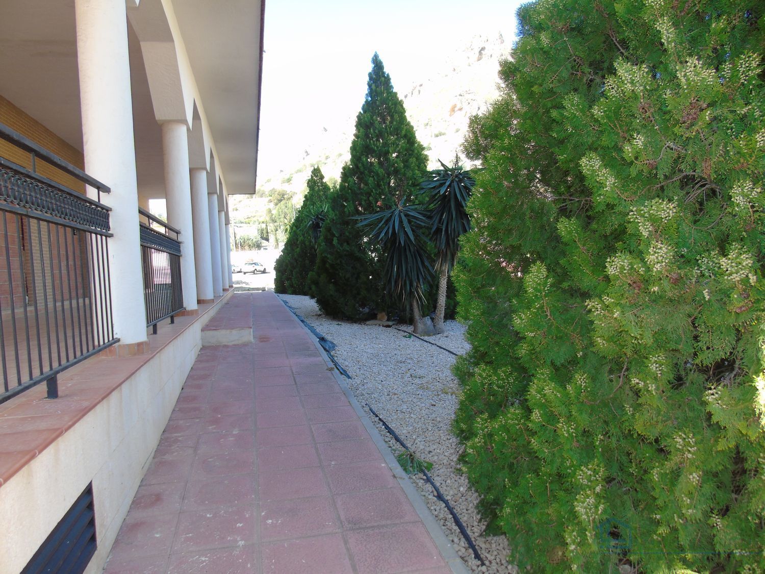 Venta de local en Villanueva del rio segura