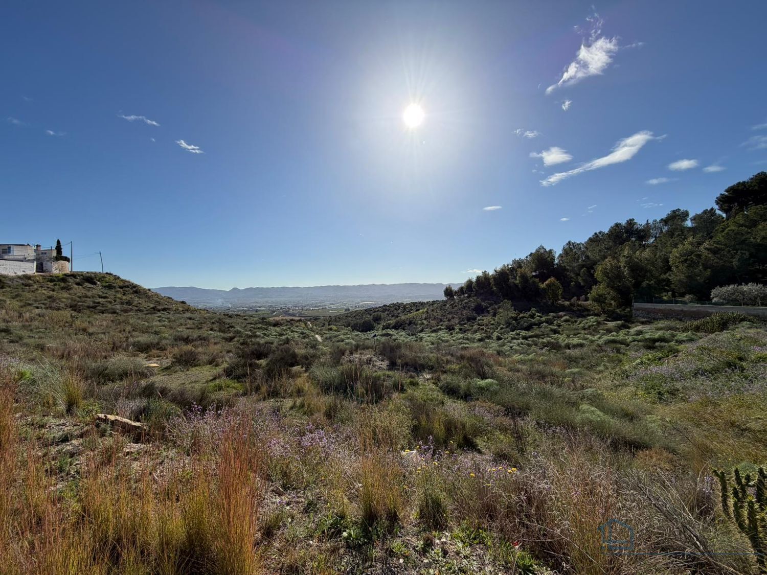 Venta de terreno en Murcia