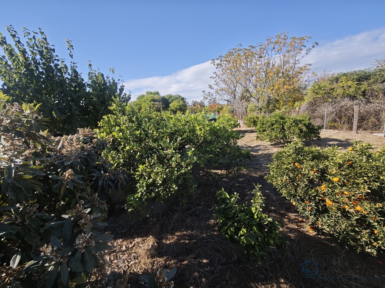 Venta de terreno en Murcia