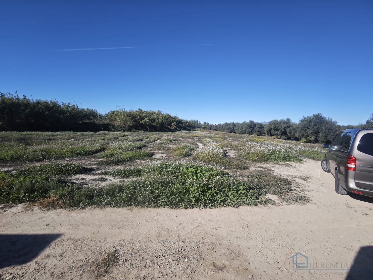 Venta de terreno en Molina de segura