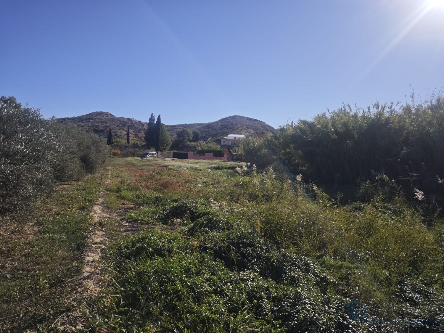 Venta de terreno en Molina de segura