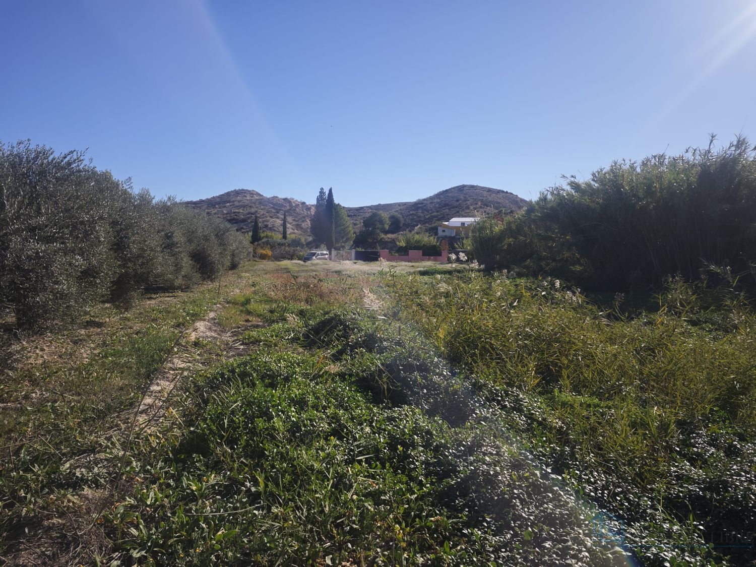 Venta de terreno en Molina de segura