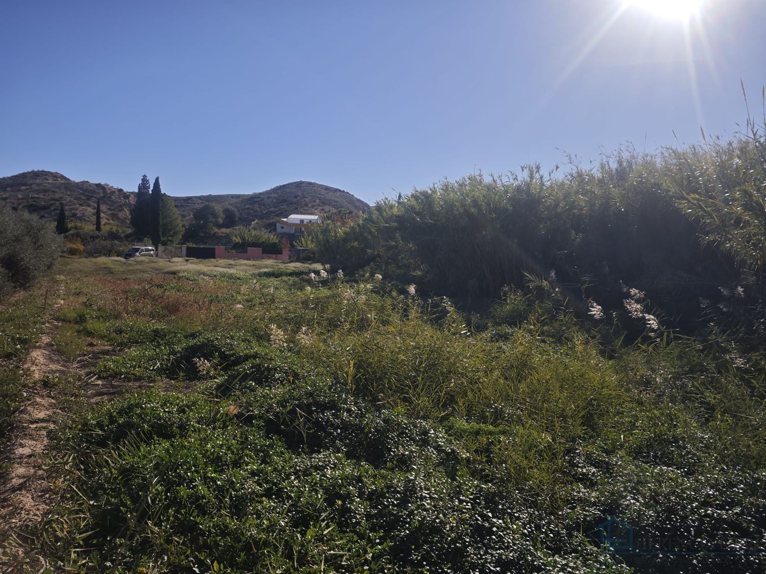 Venta de terreno en Molina de segura