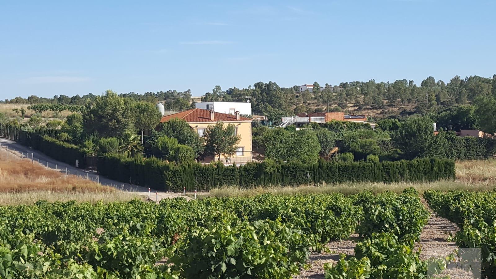 Venta de chalet en Almendralejo