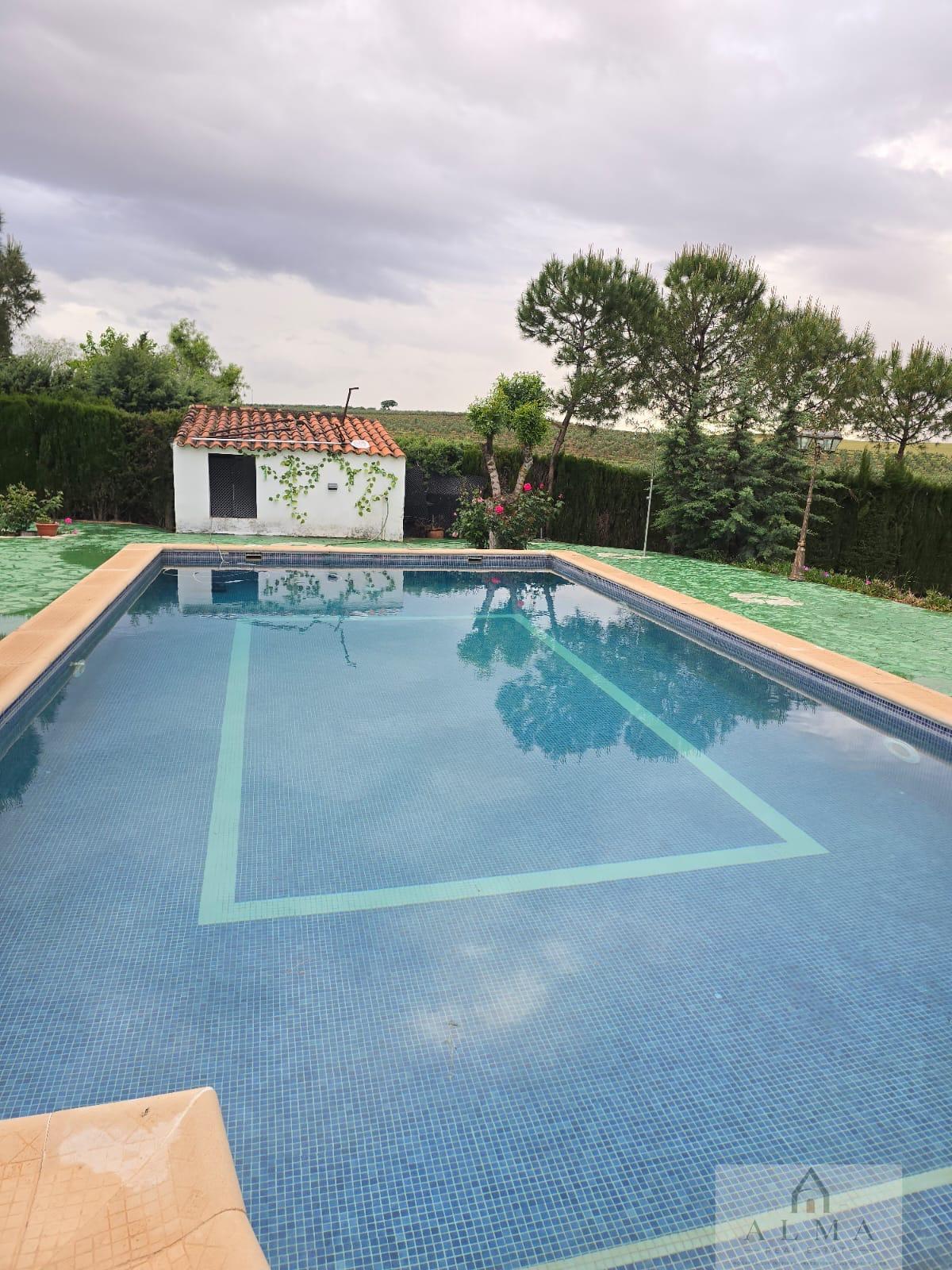 Venta de chalet en Almendralejo