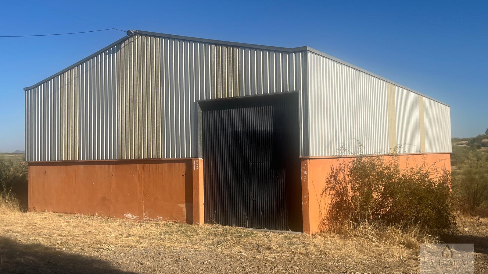 Venta de chalet en Almendralejo