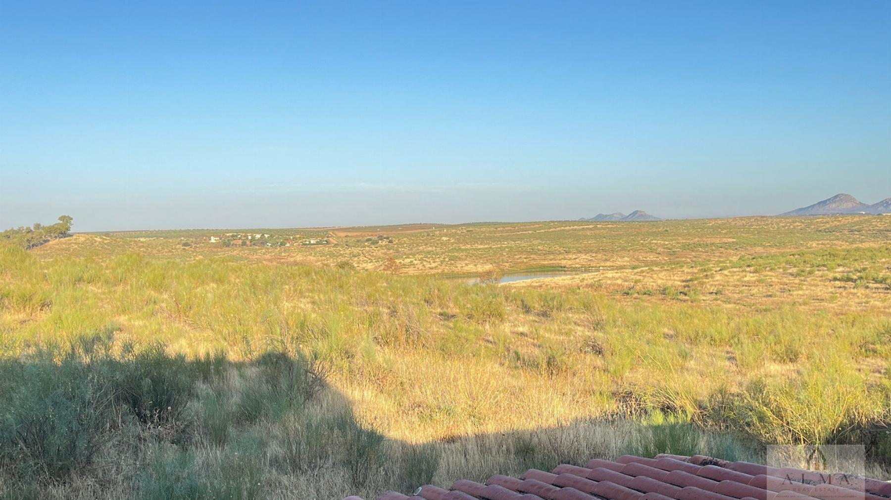 Venta de chalet en Almendralejo
