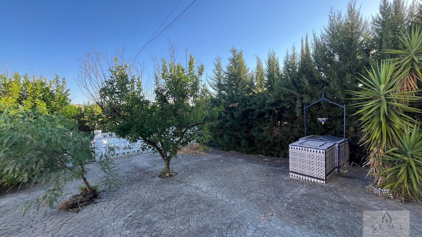Venta de chalet en Almendralejo