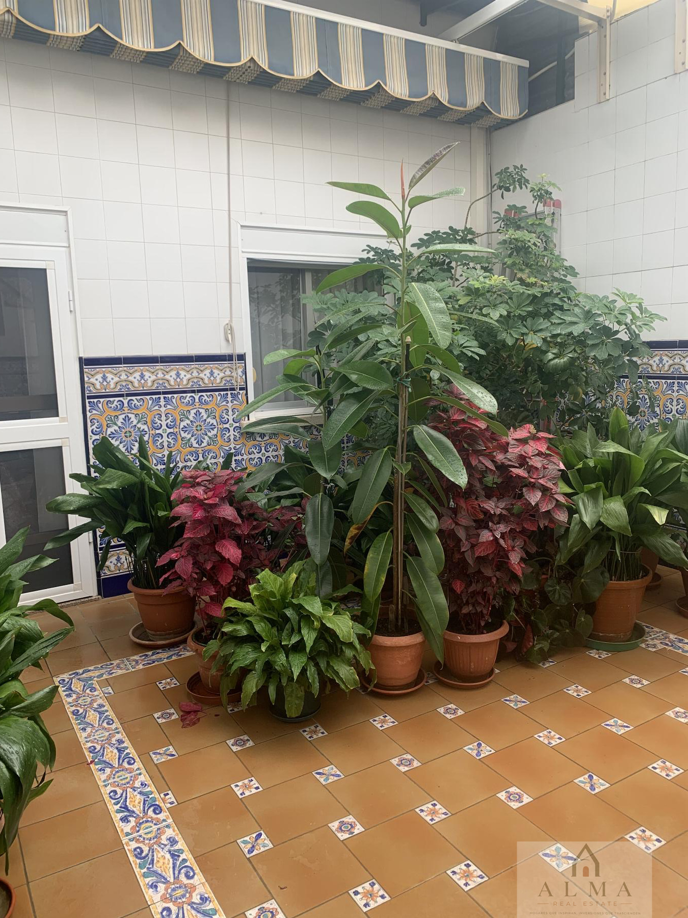Venta de casa en Almendralejo