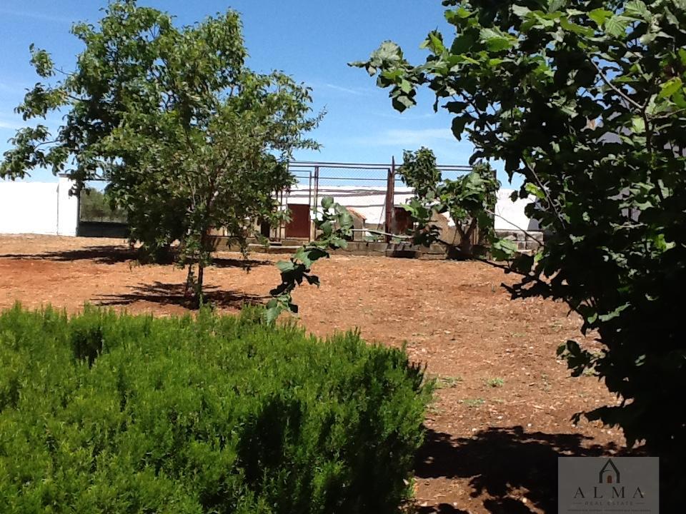 Venta de chalet en Almendralejo